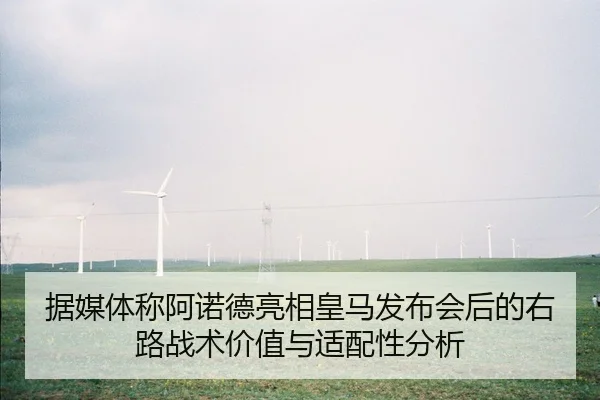 ju-mei-ti-cheng-a-nuo-de-liang-xiang-huang-ma-fa-bu-hui-hou-de-you-lu-zhan-shu-jia-zhi-yu-shi-pei-xing-fen-xi-1-885.jpg
